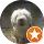 San claw profile picture
